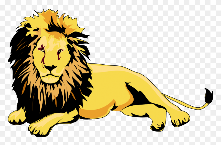 800x505 Cartoon Lion Clipart Group With Items - Animated Clipart For Powerpoint Free Download