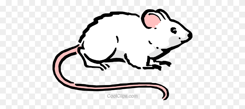 480x313 Cartoon Mouse Royalty Free Vector Clip Art Illustration - Mammals Clipart
