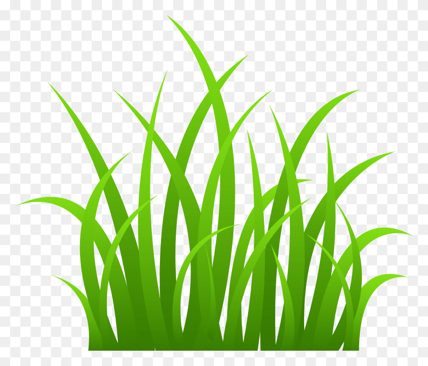 3291x2776 Cartoon Pictures Of Grass Free Download Clip Art - Blades Of Grass Clipart