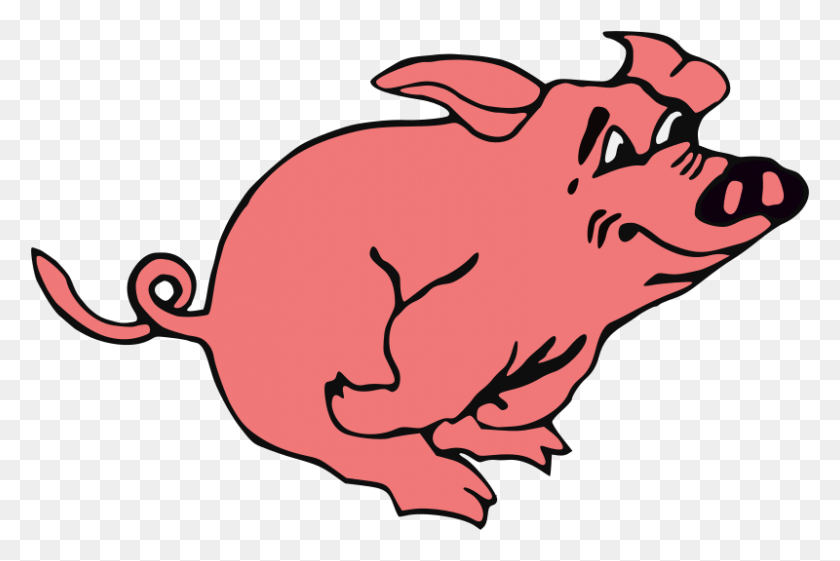 800x514 Cartoon Pig Roast Clipart - Pig Roast Clip Art