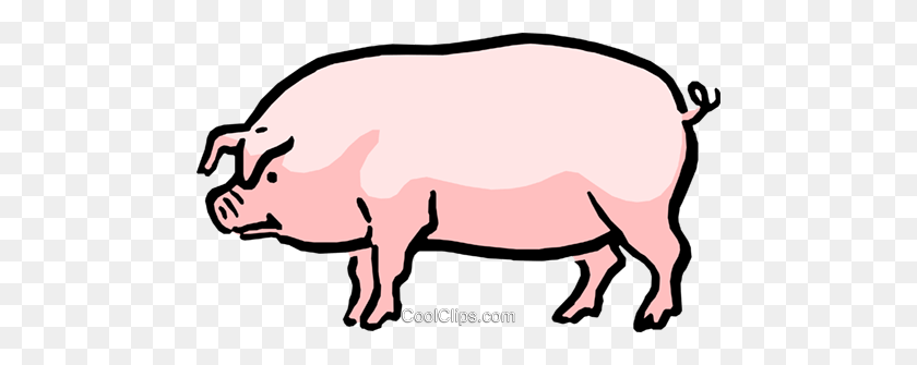480x275 Cartoon Pig Royalty Free Vector Clip Art Illustration - Cartoon Pig PNG