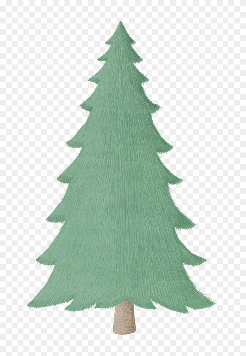 1024x1516 Cartoon Pine Tree Png Images Free Png Download Png Vector - Pine PNG