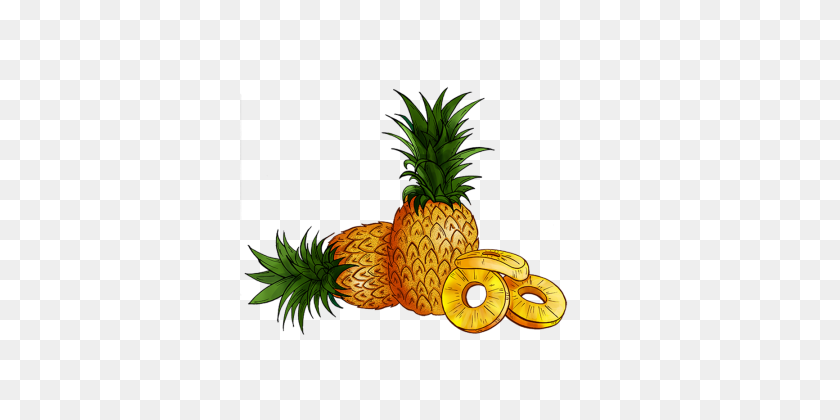 360x360 Cartoon Pineapple Png Images Vectors And Free - Pinapple PNG