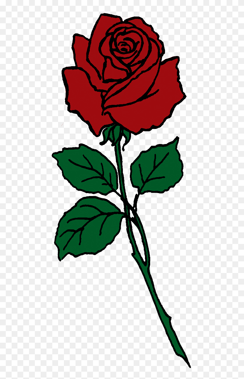 501x1245 Cartoon Roses Clipart - Wilted Rose Clipart