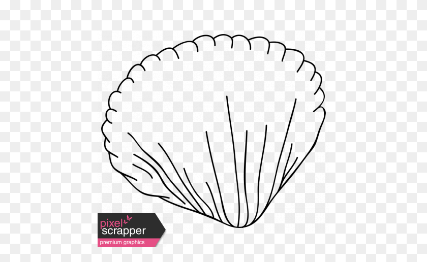 456x456 Cartoon Shell Template Graphic - Clam Shell PNG