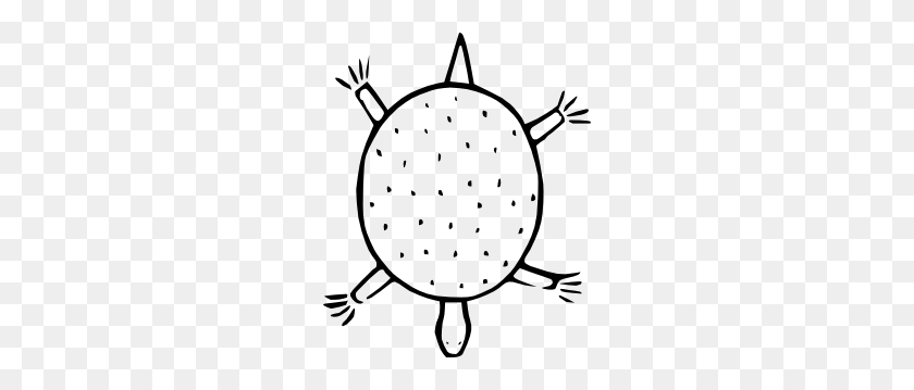 246x299 Cartoon Turtle Outline Clip Art - Snapping Turtle Clipart