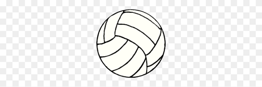222x221 Cartoon Volleyball Pictures Free Download Clip Art - Volleyball Net Clipart