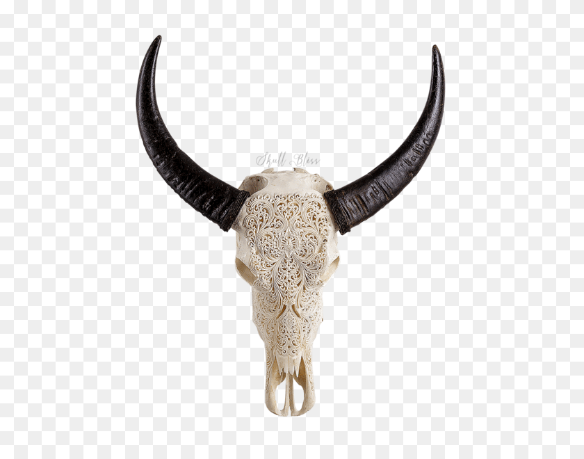 600x600 Carved Buffalo Skull - Cow Skull PNG
