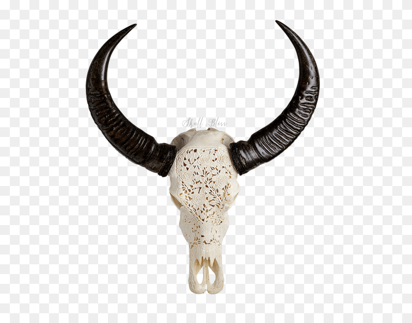 600x600 Cráneo De Búfalo Tallado - Cráneo De Vaca Png