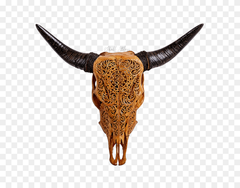 600x600 Carved Cow Skull Xl Horns - Cow Head PNG