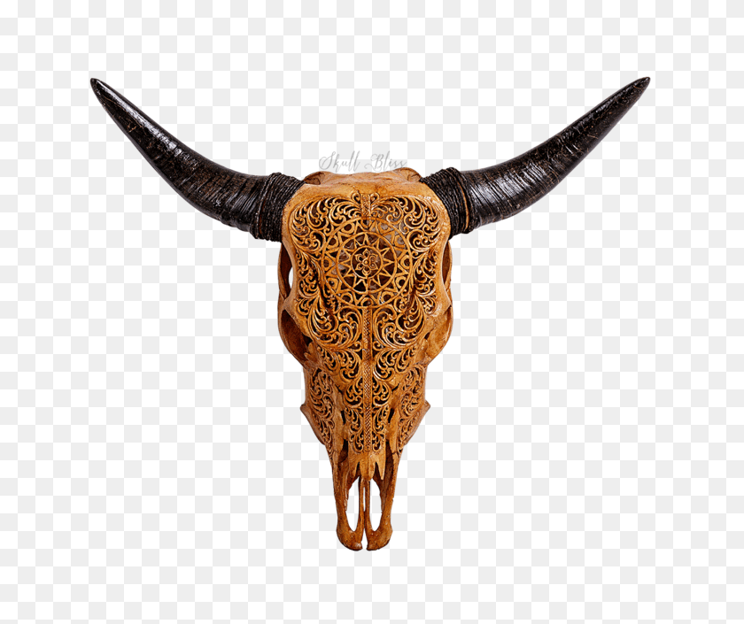 645x645 Carved Cow Skull Xl Horns - Cow Skull PNG
