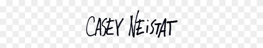 300x95 Casey Neistat's Filmmaker Resume Example Enhancv - Casey Neistat PNG