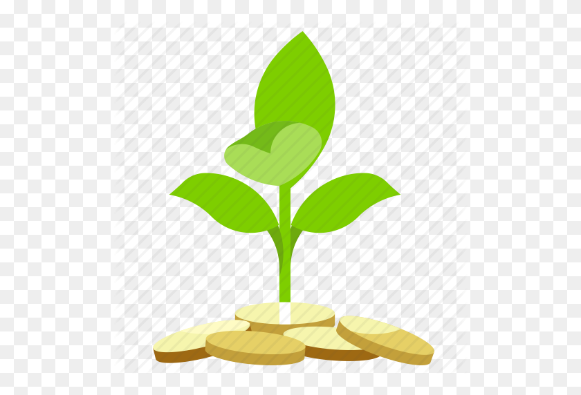 512x512 Cash, Finance, Money, Plant Icon - Money Tree PNG
