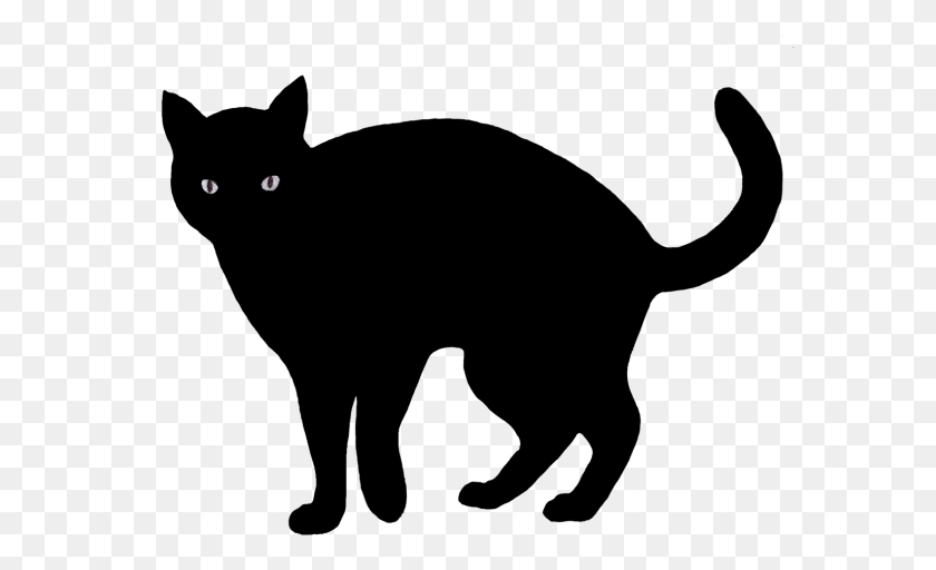 600x452 Кошка Черно-Белые Картинки - Милый Кот Клипарт Черно-Белый
