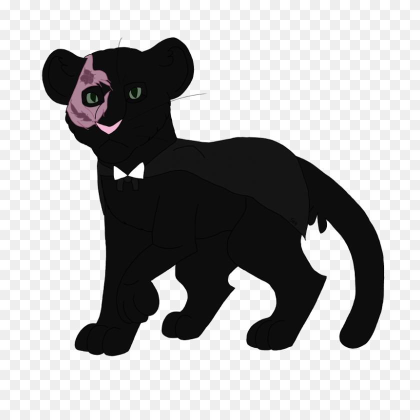 800x800 Gato Pantera Negra, Leopardo Cougar Felidae - Máscara De Pantera Negra Png