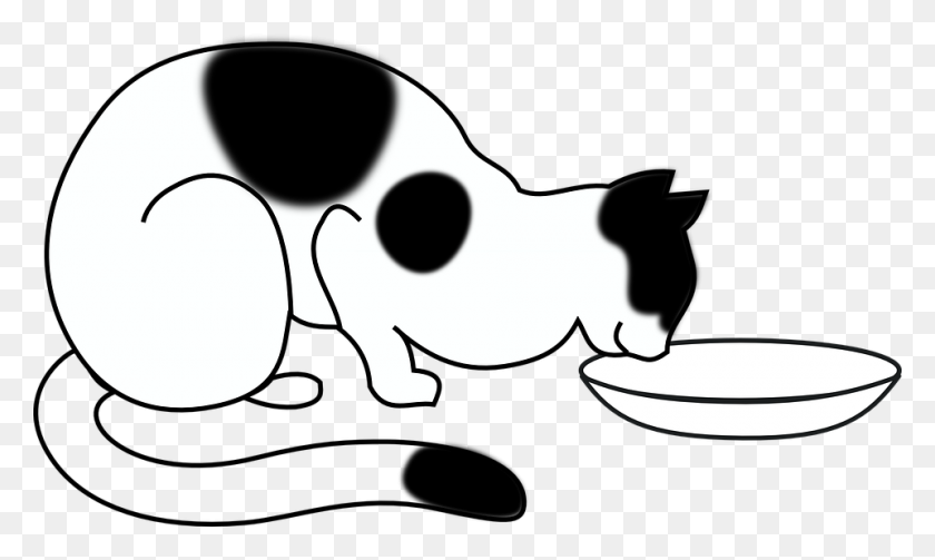 960x546 Кошка Картинки Изображения Черно-Белый Рисунок - Съесть Завтрак Клипарт Черно-Белый