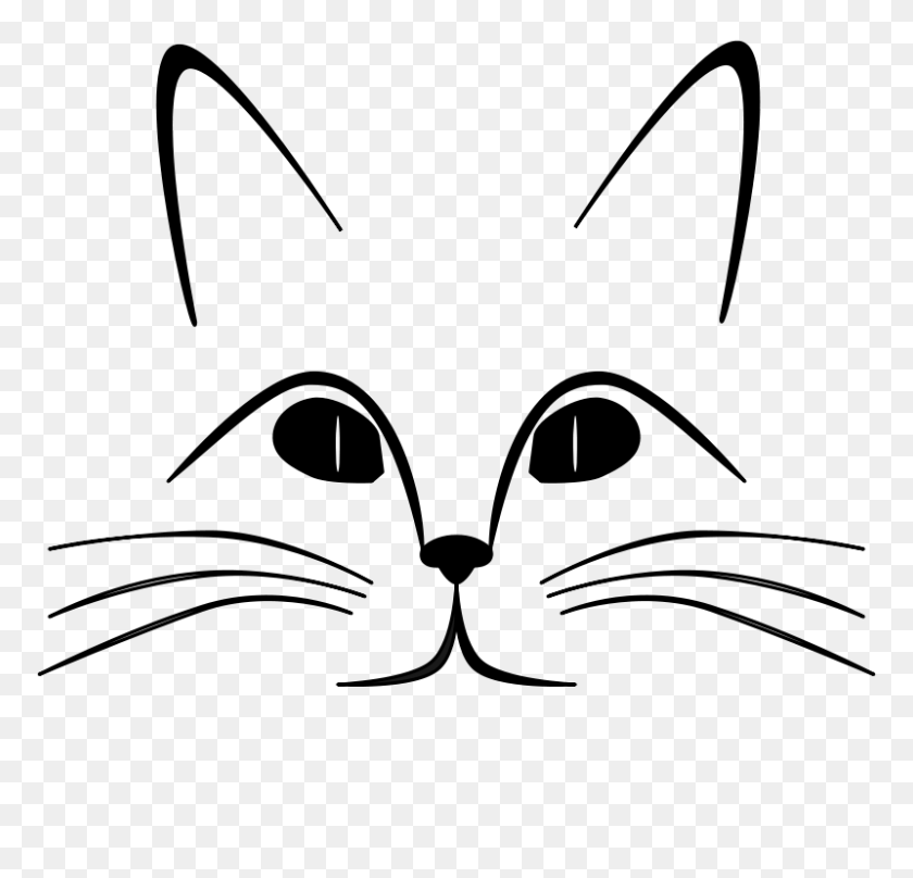 800x768 Cat Drawing Outline - Face Outline Clipart