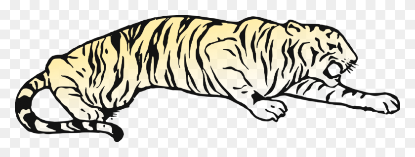 1021x340 Cat Felidae White Tiger Siberian Tiger Black Panther Free - Panther Clipart Free