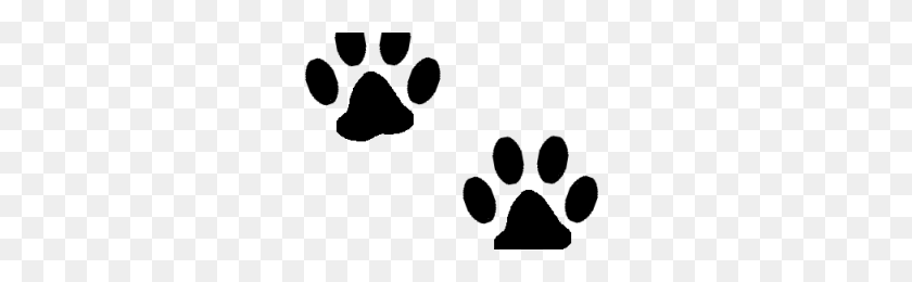 300x200 Cat Foot Png Png Image - Cat Paw PNG