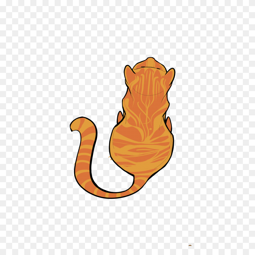 3000x3000 Cat From Above - Orange Cat PNG