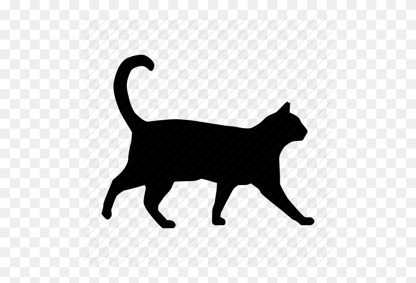 512x512 Cat, Gato Icon - Gato PNG