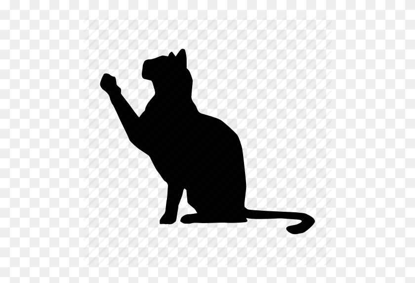 512x512 Gato, Gato, Icono De Mascota - Gato Png