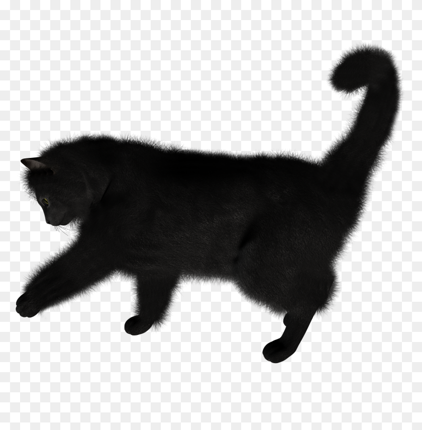 1490x1520 Cat Image Png Photo With Transparent Background - Cat PNG Transparent