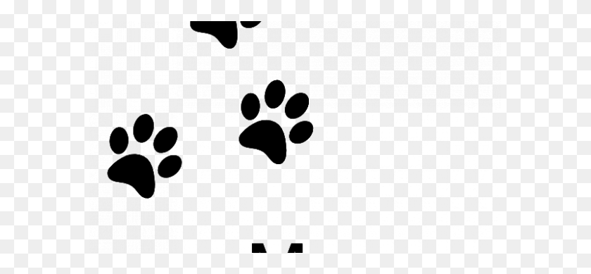 585x329 Cat Paw Vector Print Dog Photo Free Trial Bigstock Sweet - Paw Heart Clipart