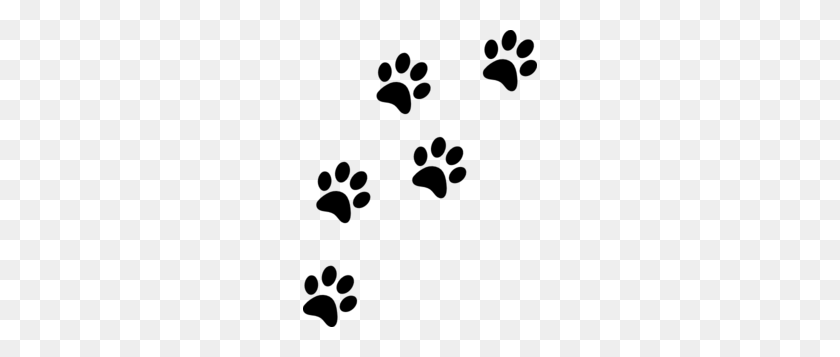 234x297 Cat Paws Png Hd Transparent Cat Paws Hd Images - Paws PNG