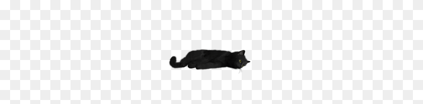 180x148 Gato Png