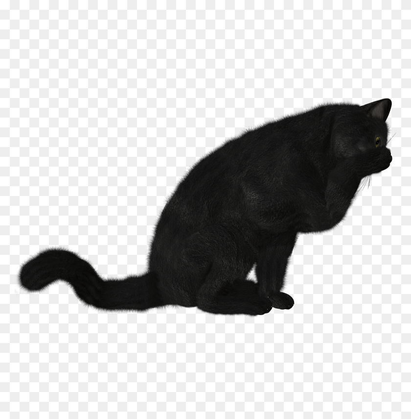 1490x1520 Cat Png Image - Cat Tail PNG