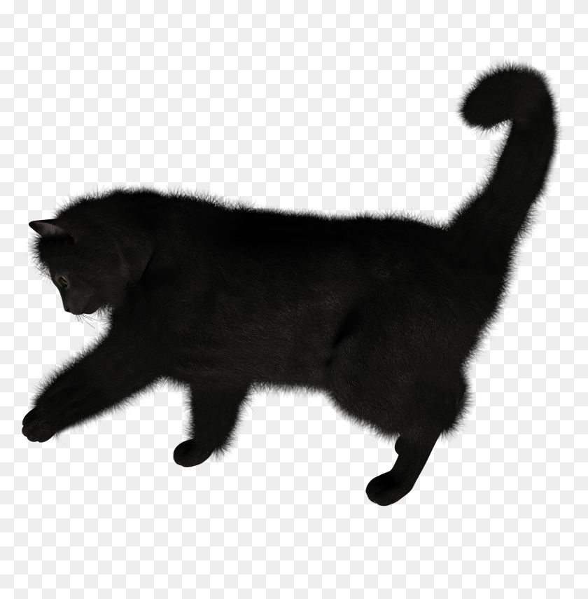 1490x1520 Cat Png Image - Cat Tail PNG