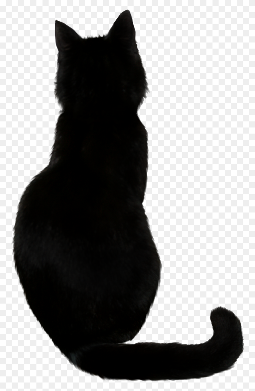 771x1228 Gato Png