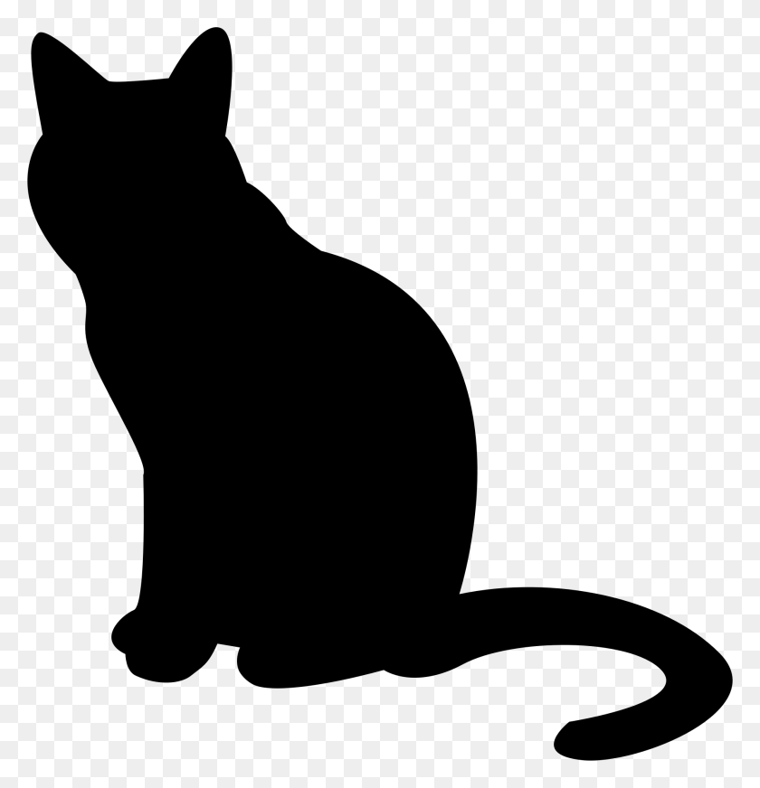 1853x1931 Cat Silhouette Transparent Png - Cat PNG
