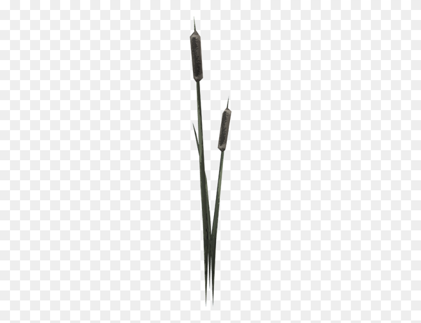 1000x750 Cat Tail Png Png Image - Cat Tail PNG