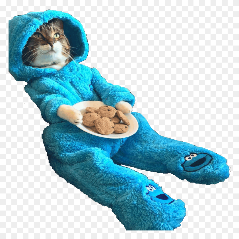 1080x1080 Cat Wearing Cookie Monster Onesie Cutouts - Cookie Monster PNG