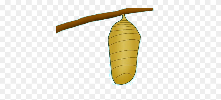 412x323 Caterpillar Clipart Cocoon - Cocoon Clipart
