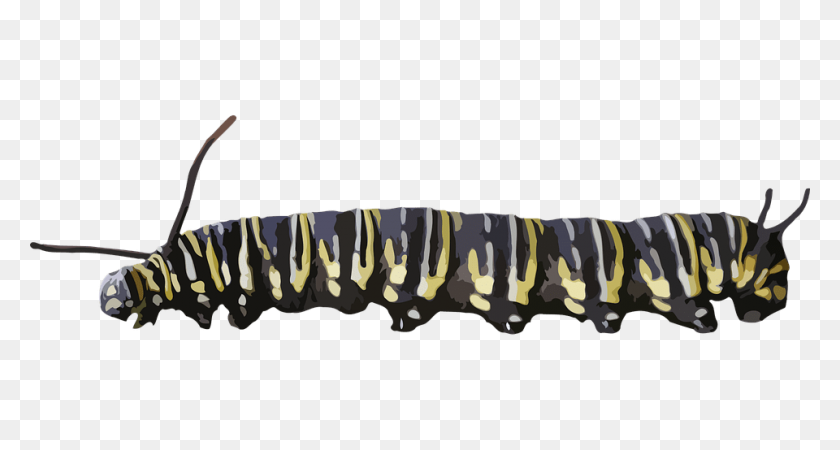 960x480 Caterpillar Yellow Black Transparent Png - Caterpillar Logo PNG