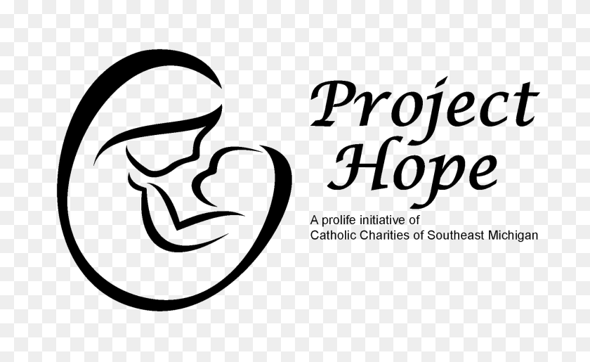 1800x1050 Catholic Charities Of Southeast Michigan - Detroit Become Human Logo PNG