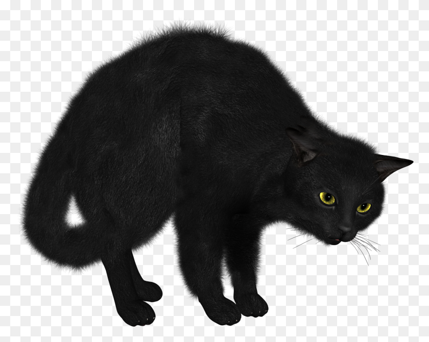 1410x1106 Cats Png Free Images, Download - Black Cat PNG