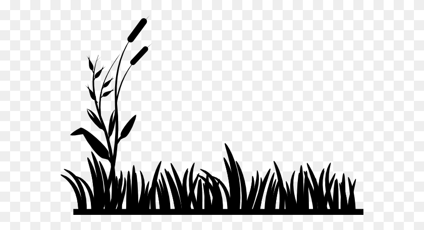 600x396 Cattail Clip Art - Cat Tail PNG
