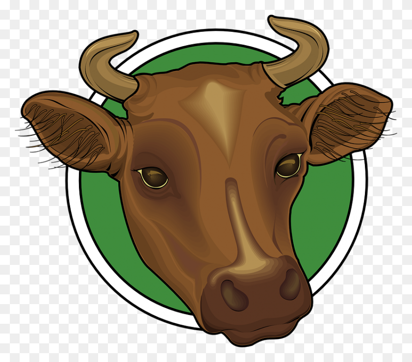 828x720 Cattle Clipart Cow Head - Show Steer Clip Art