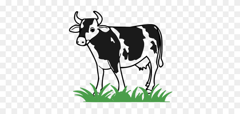 381x340 Cattle Goat Livestock Dairy Farming - Milking A Cow Clipart