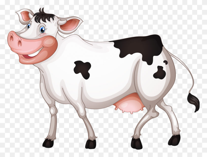 800x593 Cattle Royalty Free Clip Art - Cows PNG