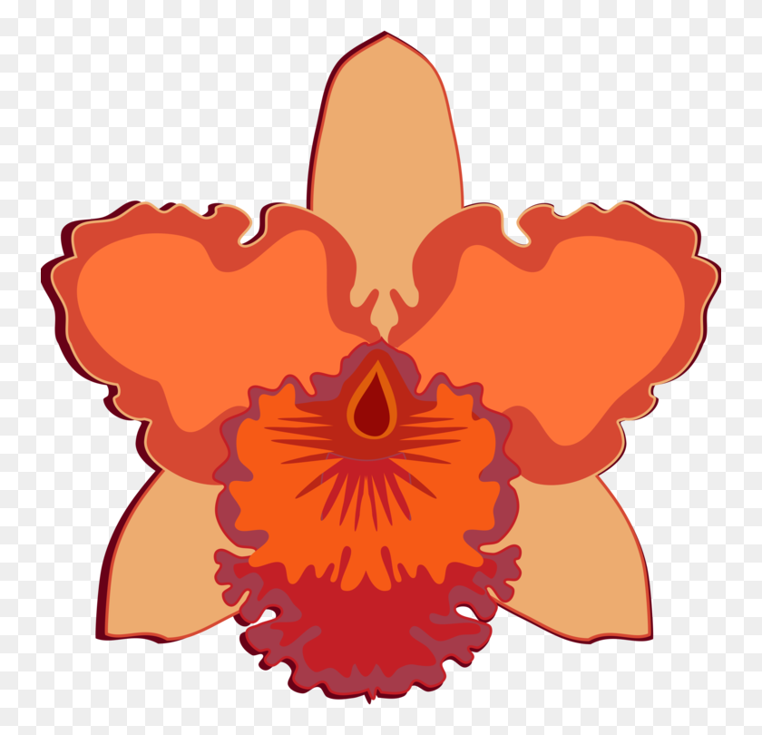 750x750 Каттлея Орхидеи Цветущее Растение Мотылек Орхидеи Срезанные Цветы Бесплатно - Орхидеи Клипарт