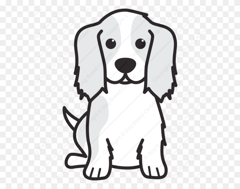 600x600 Cavalier King Charles Spaniel Download Cartoon Dog Cavalier King - Dog Cartoon PNG