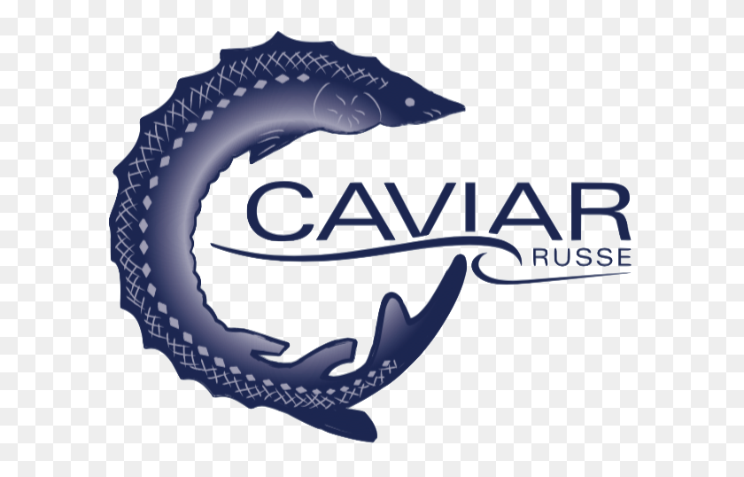 609x478 Caviar Logos - Caviar Clipart