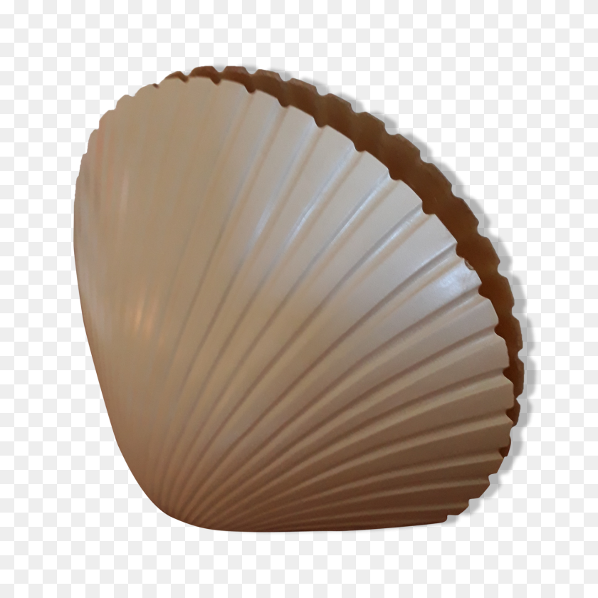 1457x1457 Cazenave Shell Lamp - Clam Shell PNG