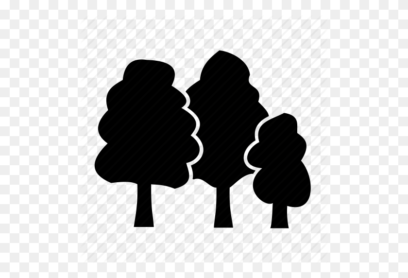 512x512 Cedar, Elm Trees, Forest, Oaks, Park, Spruce, Woods Icon - Tree Icon PNG