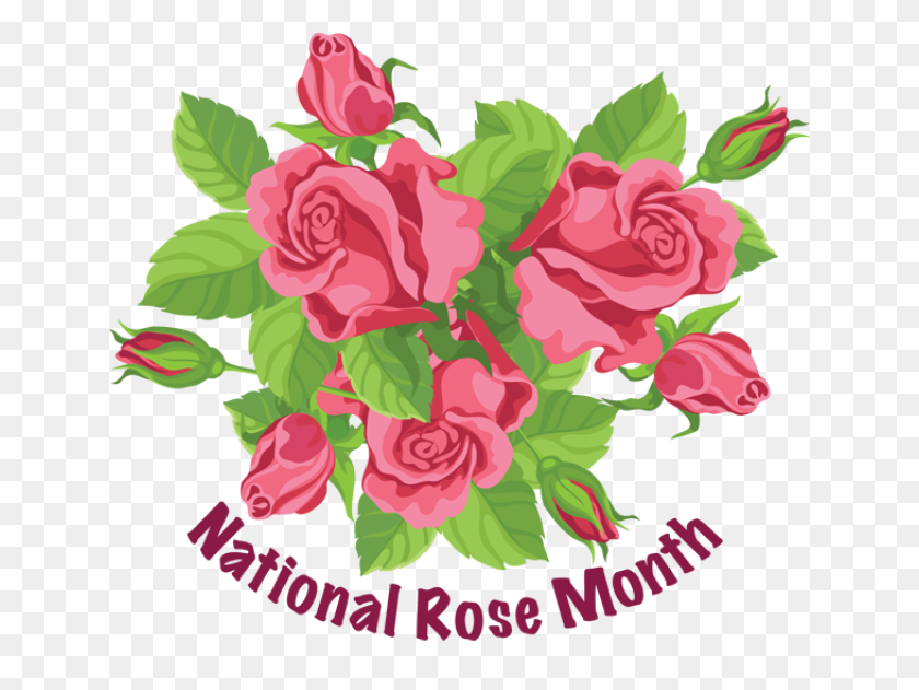 640x571 Celebre La Flor Favorita De Estados Unidos, La Rosa Roja Misc Graphics - Imágenes Prediseñadas De Flores De Junio